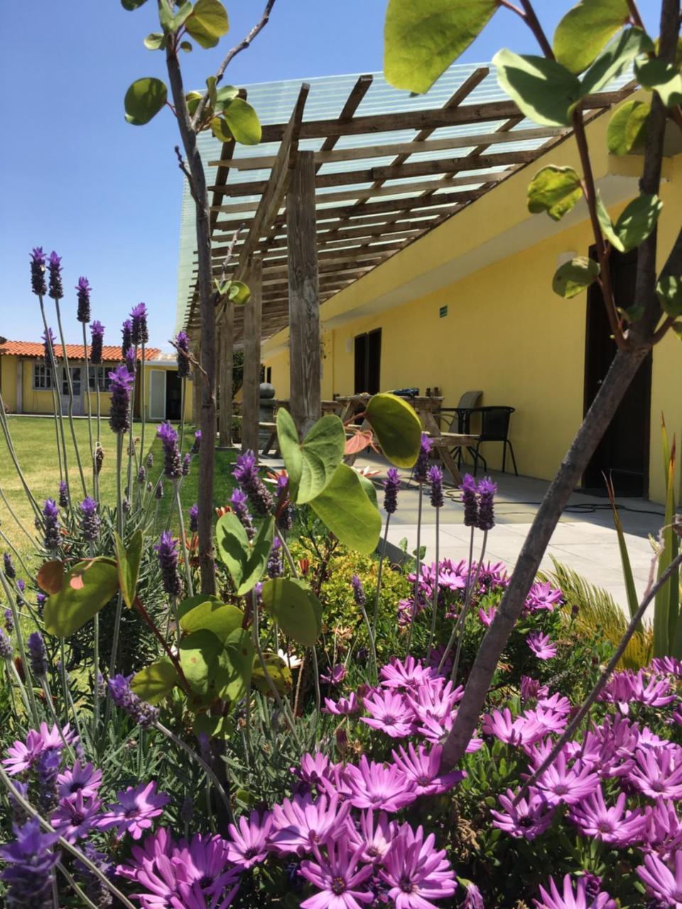 hotel quinta San Antonio Nopalucan de la Granja Exterior foto