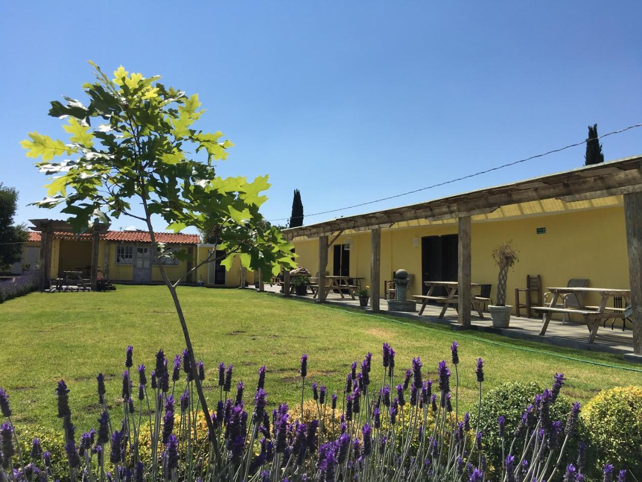 hotel quinta San Antonio Nopalucan de la Granja Exterior foto