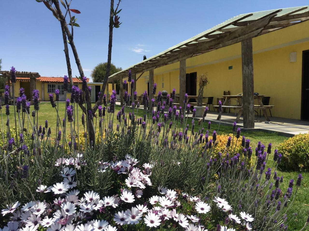 hotel quinta San Antonio Nopalucan de la Granja Exterior foto